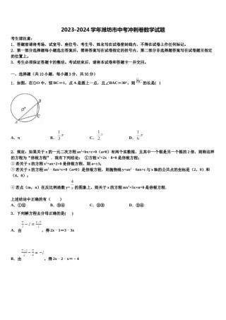 2023-2024学年潍坊市中考冲刺卷数学试题含解析.doc