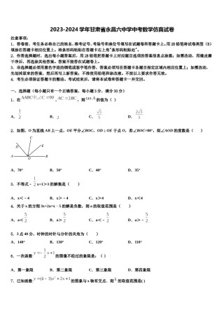 2023-2024学年甘肃省永昌六中学中考数学仿真试卷含解析.doc
