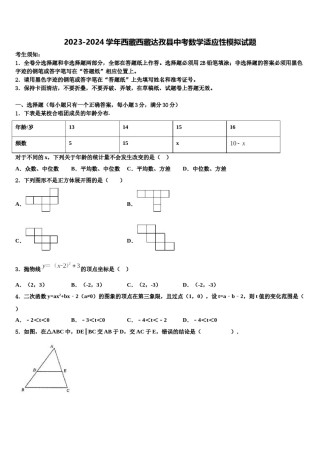 2023-2024学年西藏西藏达孜县中考数学适应性模拟试题含解析.doc