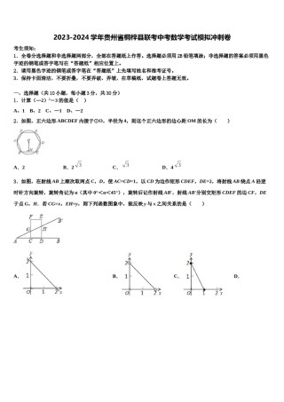 2023-2024学年贵州省桐梓县联考中考数学考试模拟冲刺卷含解析.doc