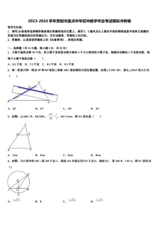 2023-2024学年贵阳市重点中学初中数学毕业考试模拟冲刺卷含解析.doc