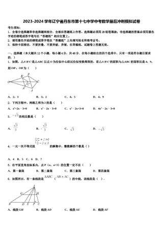 2023-2024学年辽宁省丹东市第十七中学中考数学最后冲刺模拟试卷含解析.doc