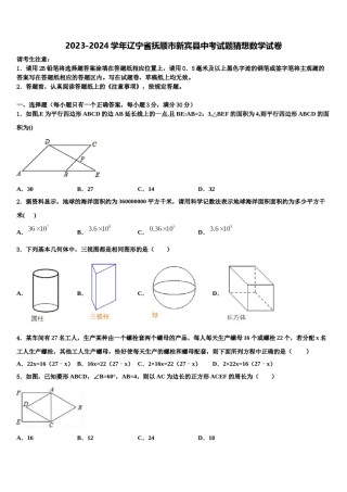 2023-2024学年辽宁省抚顺市新宾县中考试题猜想数学试卷含解析.doc
