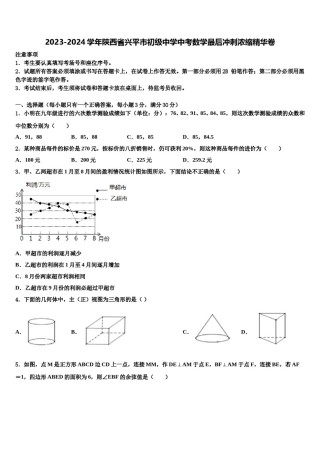 2023-2024学年陕西省兴平市初级中学中考数学最后冲刺浓缩精华卷含解析.doc