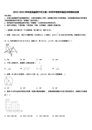 2023-2024学年青海省西宁市大通一中学中考数学最后冲刺模拟试卷含解析.doc