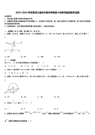 2023-2024学年黑龙江省佳木斯市桦南县十校联考最后数学试题含解析.doc