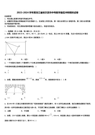2023-2024学年黑龙江省哈尔滨市中考数学最后冲刺模拟试卷含解析.doc