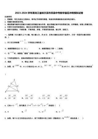 2023-2024学年黑龙江省哈尔滨市宾县中考数学最后冲刺模拟试卷含解析.doc