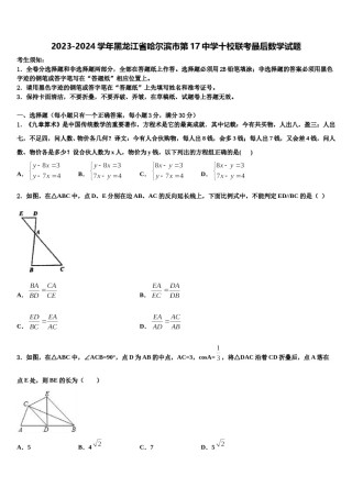 2023-2024学年黑龙江省哈尔滨市第17中学十校联考最后数学试题含解析.doc