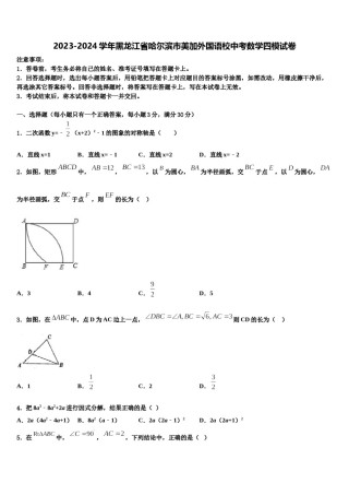 2023-2024学年黑龙江省哈尔滨市美加外国语校中考数学四模试卷含解析.doc