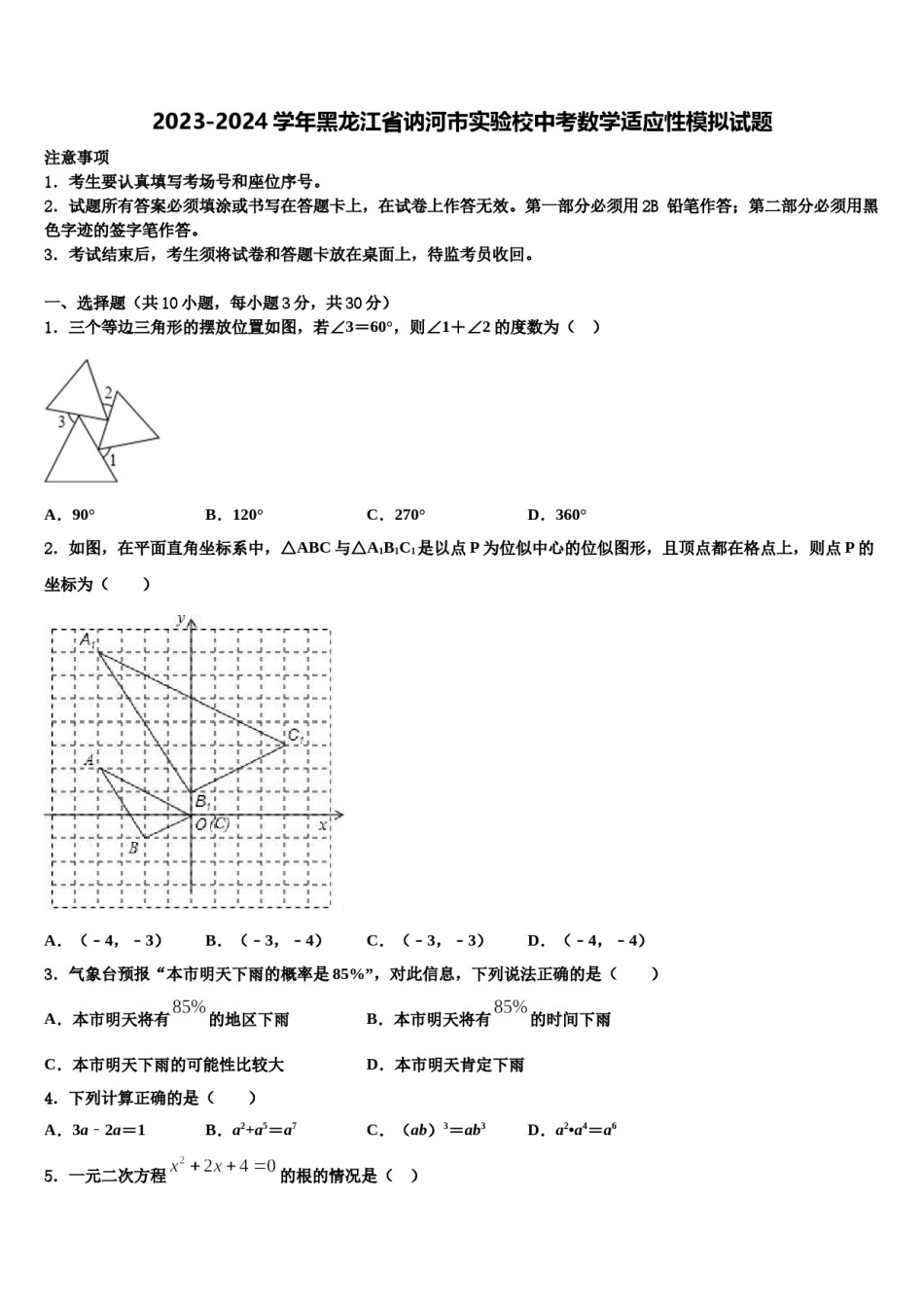 2023-2024学年黑龙江省讷河市实验校中考数学适应性模拟试题含解析.doc_第1页