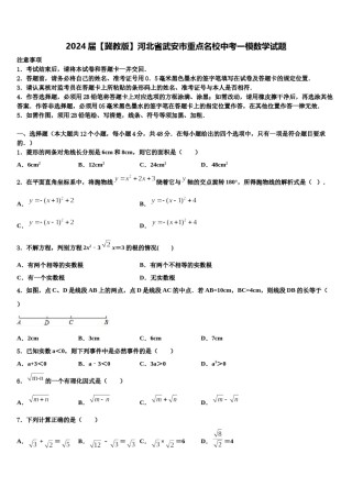 2024届【冀教版】河北省武安市重点名校中考一模数学试题含解析.doc
