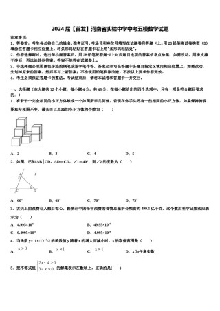 2024届【首发】河南省实验中学中考五模数学试题含解析.doc