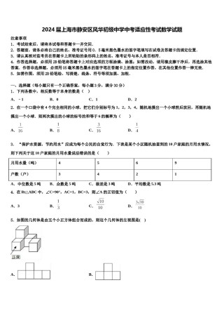 2024届上海市静安区风华初级中学中考适应性考试数学试题含解析.doc
