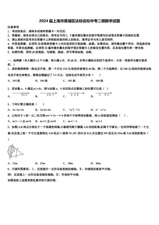 2024届上海市黄埔区达标名校中考二模数学试题含解析.doc