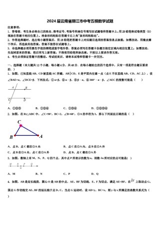 2024届云南省丽江市中考五模数学试题含解析.doc