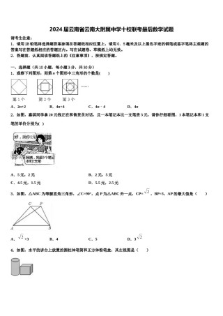 2024届云南省云南大附属中学十校联考最后数学试题含解析.doc