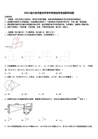 2024届六安市重点中学中考适应性考试数学试题含解析.doc