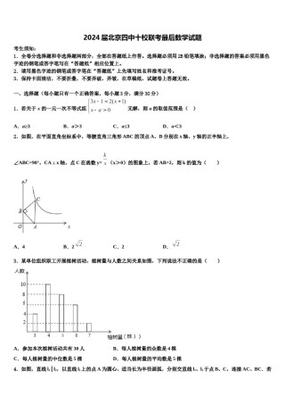 2024届北京四中十校联考最后数学试题含解析.doc