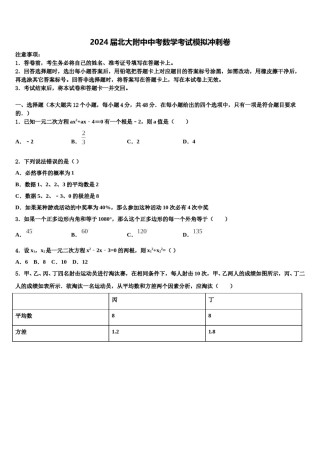 2024届北大附中中考数学考试模拟冲刺卷含解析.doc