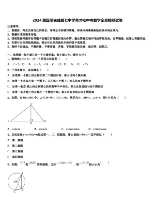 2024届四川省成都七中学育才校中考数学全真模拟试卷含解析.doc