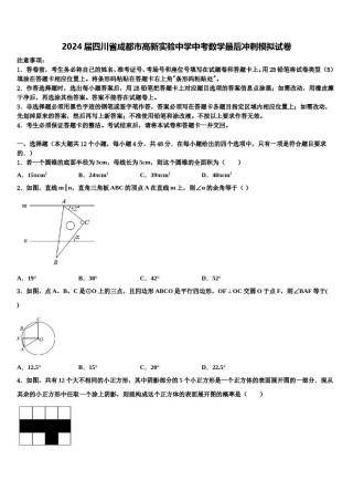 2024届四川省成都市高新实验中学中考数学最后冲刺模拟试卷含解析.doc