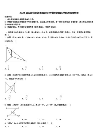 2024届安徽合肥市市级名校中考数学最后冲刺浓缩精华卷含解析.doc