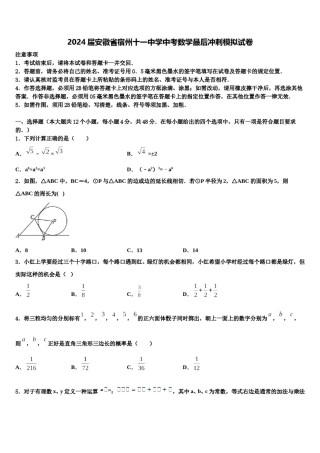 2024届安徽省宿州十一中学中考数学最后冲刺模拟试卷含解析.doc