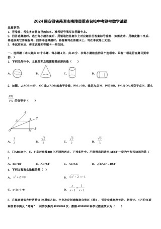 2024届安徽省芜湖市南陵县重点名校中考联考数学试题含解析.doc