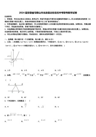 2024届安徽省马鞍山市当涂县达标名校中考联考数学试卷含解析.doc