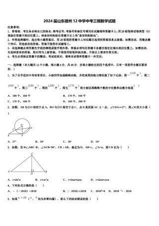 2024届山东德州12中学中考三模数学试题含解析.doc