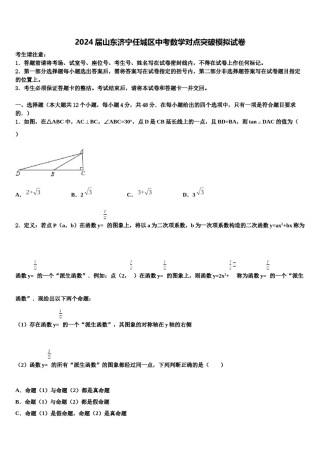 2024届山东济宁任城区中考数学对点突破模拟试卷含解析.doc