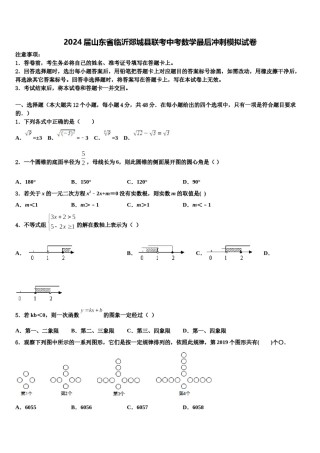 2024届山东省临沂郯城县联考中考数学最后冲刺模拟试卷含解析.doc