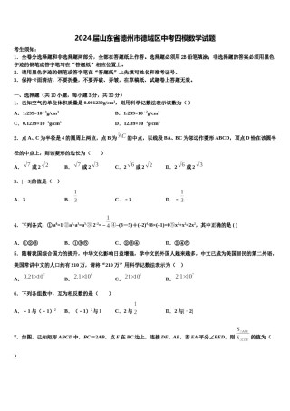 2024届山东省德州市德城区中考四模数学试题含解析.doc