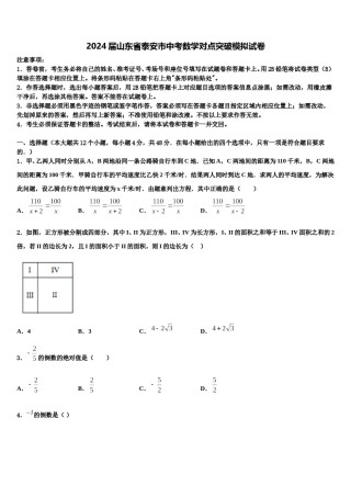 2024届山东省泰安市中考数学对点突破模拟试卷含解析.doc