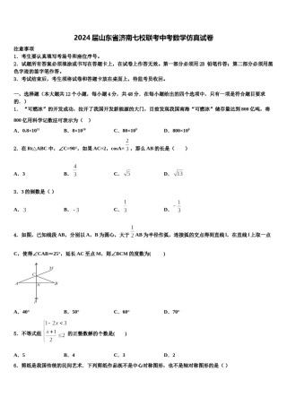 2024届山东省济南七校联考中考数学仿真试卷含解析.doc