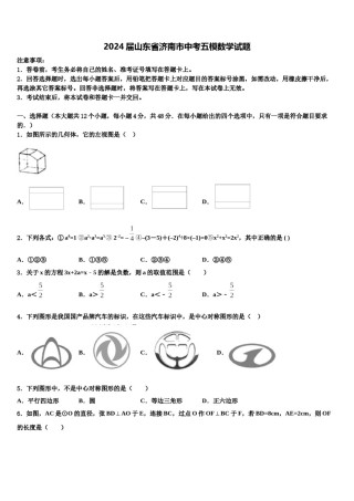 2024届山东省济南市中考五模数学试题含解析.doc