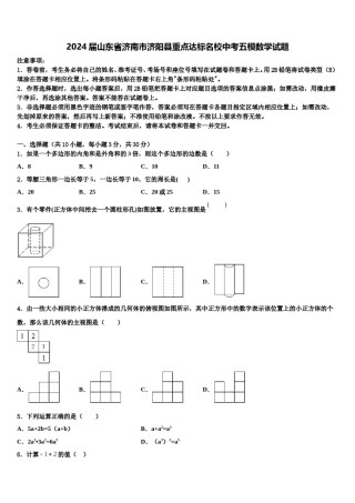2024届山东省济南市济阳县重点达标名校中考五模数学试题含解析.doc