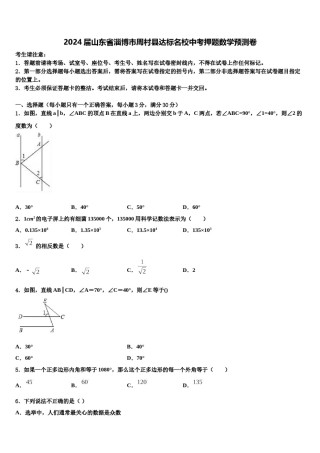 2024届山东省淄博市周村县达标名校中考押题数学预测卷含解析.doc