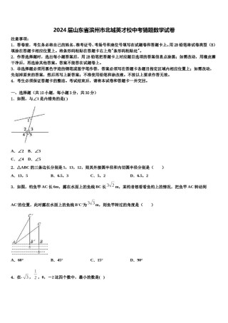 2024届山东省滨州市北城英才校中考猜题数学试卷含解析.doc