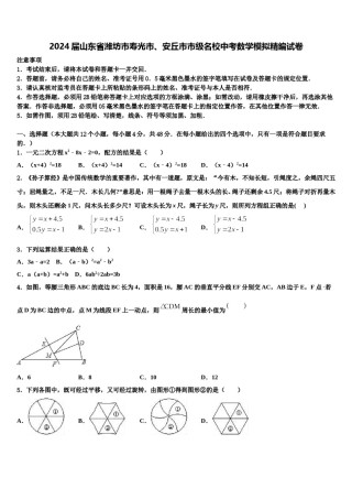 2024届山东省潍坊市寿光市、安丘市市级名校中考数学模拟精编试卷含解析.doc