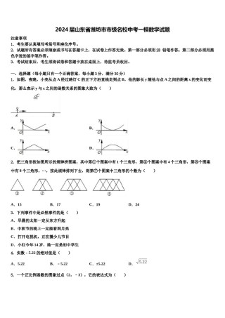 2024届山东省潍坊市市级名校中考一模数学试题含解析.doc