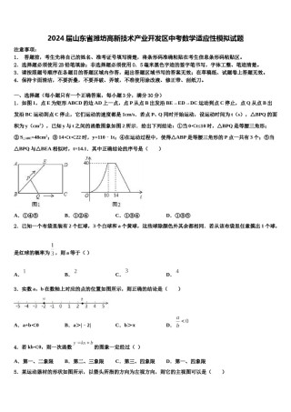 2024届山东省潍坊高新技术产业开发区中考数学适应性模拟试题含解析.doc