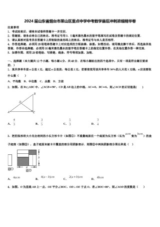 2024届山东省烟台市莱山区重点中学中考数学最后冲刺浓缩精华卷含解析.doc