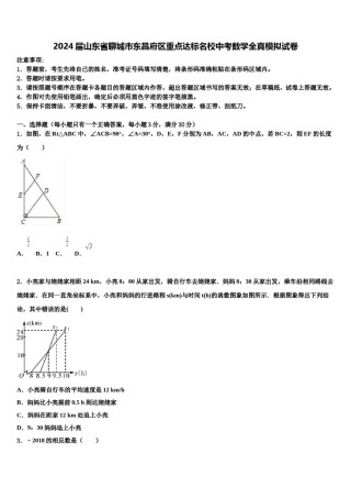 2024届山东省聊城市东昌府区重点达标名校中考数学全真模拟试卷含解析.doc