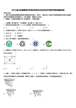 2024届山东省聊城市东昌府区重点达标名校中考数学模拟精编试卷含解析.doc