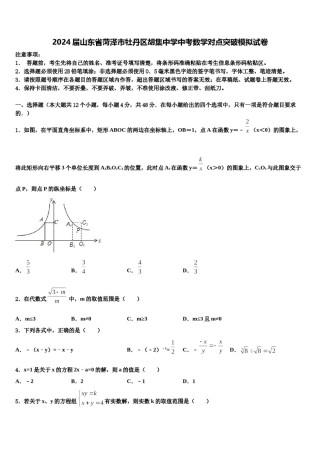 2024届山东省菏泽市牡丹区胡集中学中考数学对点突破模拟试卷含解析.doc