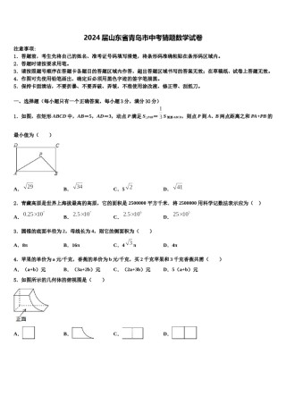 2024届山东省青岛市中考猜题数学试卷含解析.doc