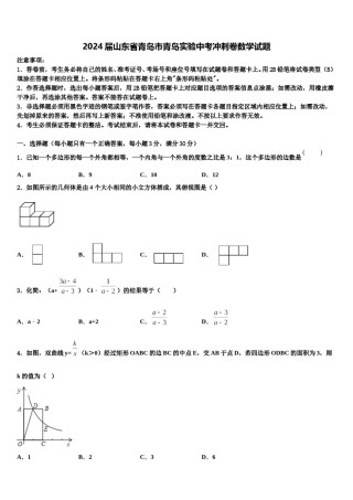 2024届山东省青岛市青岛实验中考冲刺卷数学试题含解析.doc