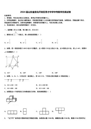 2024届山东省青岛开发区育才中学中考数学仿真试卷含解析.doc